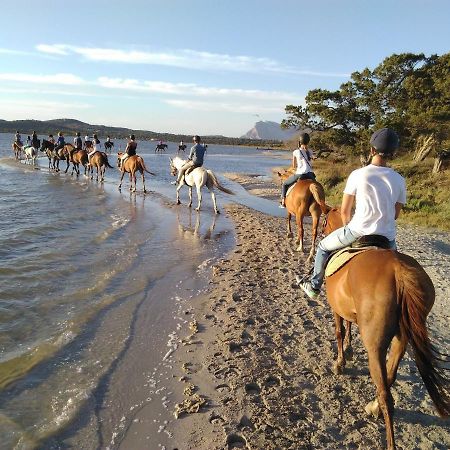Appartamento Sette Posti Vicino Al Centro Di San Teodoro San Teodoro  Exterior foto
